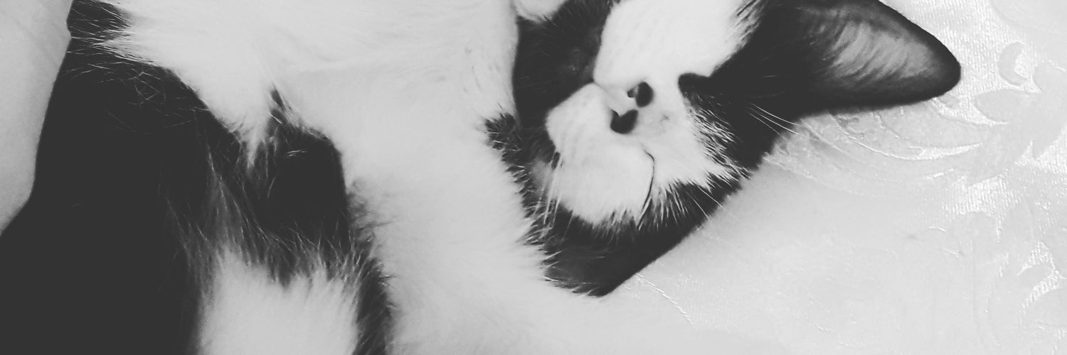 bllua22's profile banner image