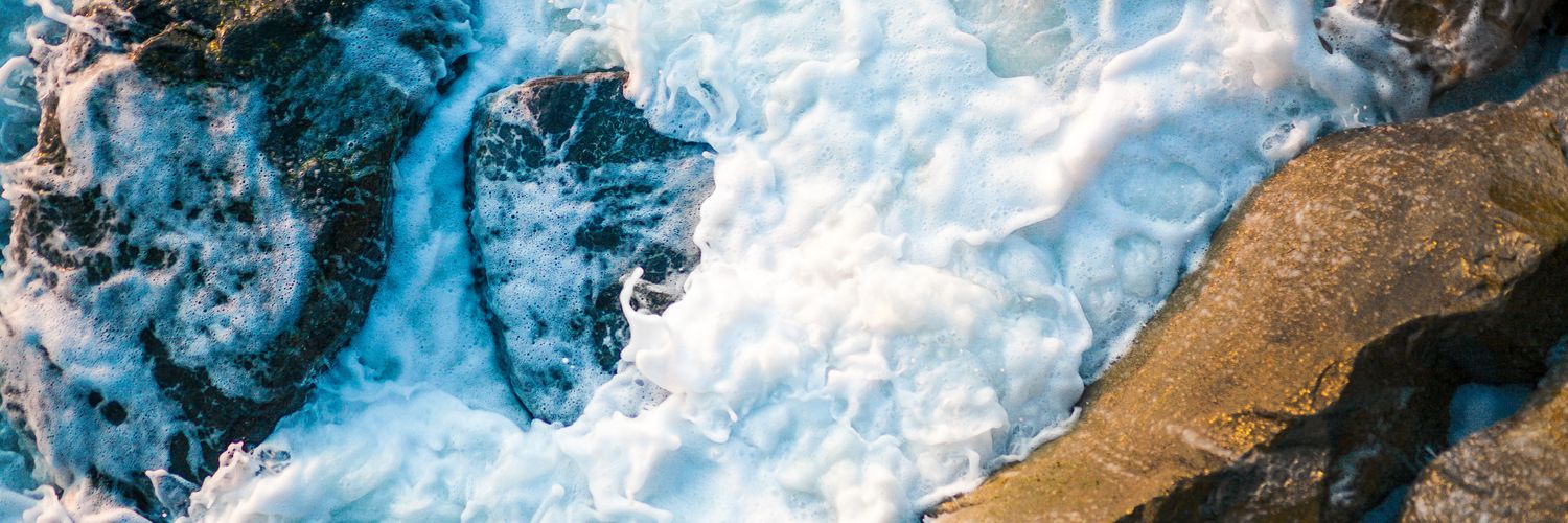 PhotographyNess's profile banner image