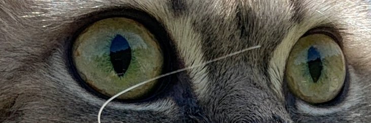 _zehrakayaa's profile banner image
