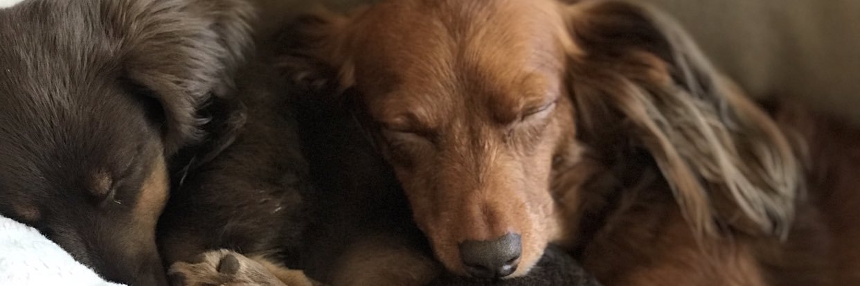 Ryan_Tingler's profile banner image