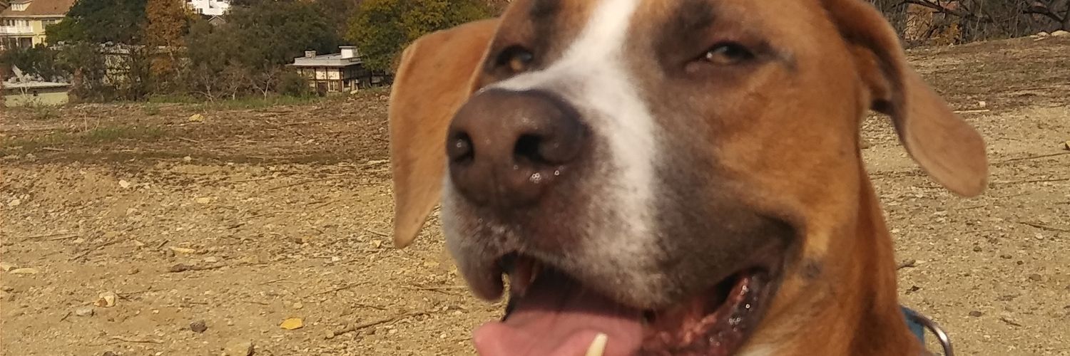 Nerd1ne's profile banner image