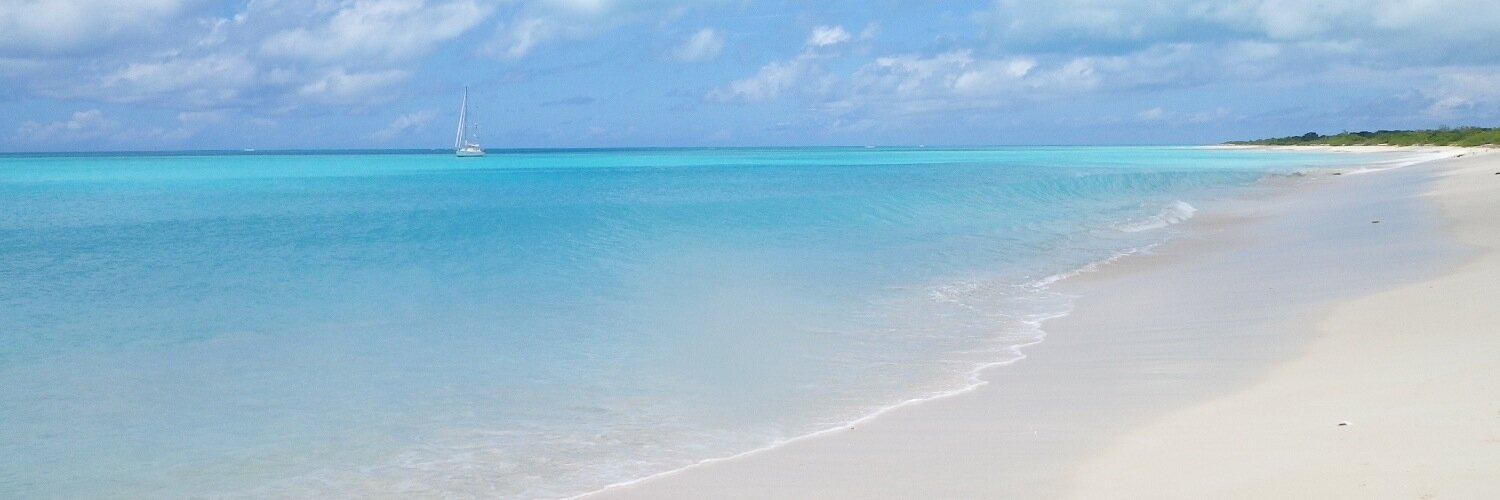 Bill Springer banner