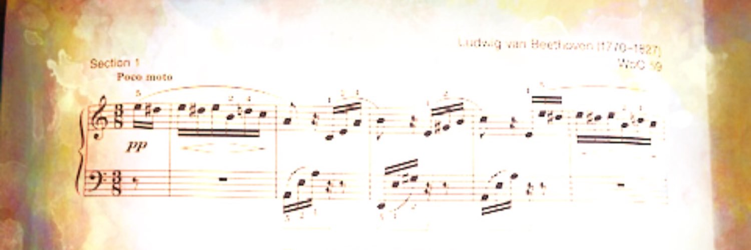 cerddcynffig's profile banner image