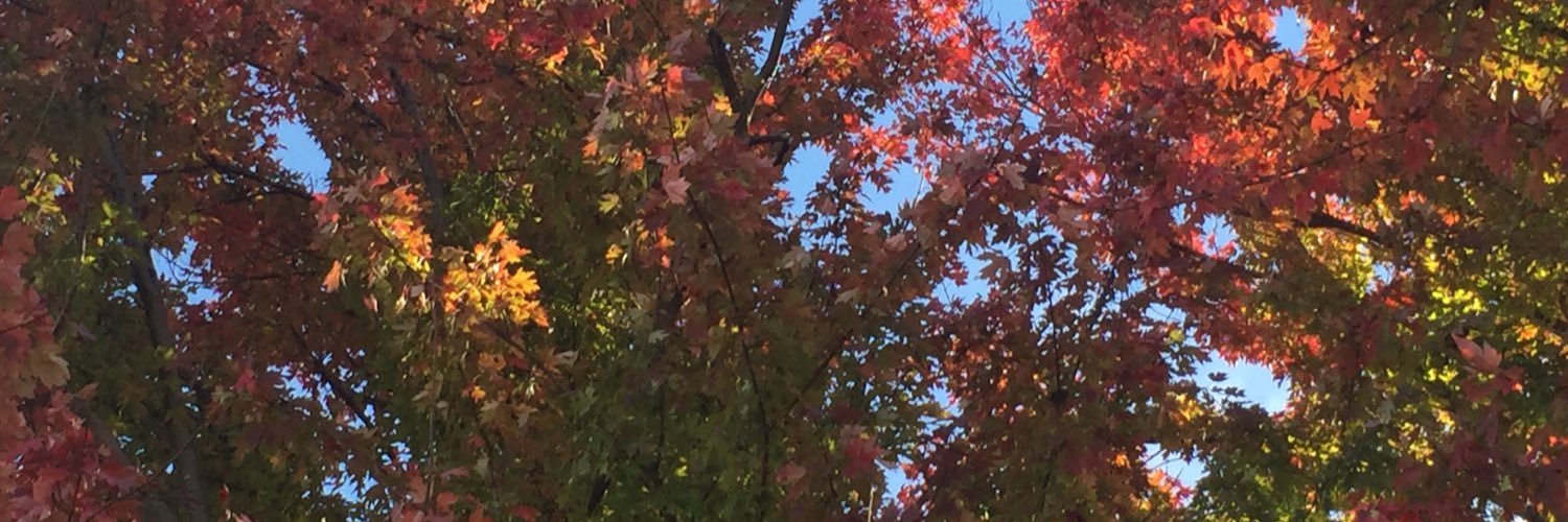 Bruce_Kyra's profile banner image