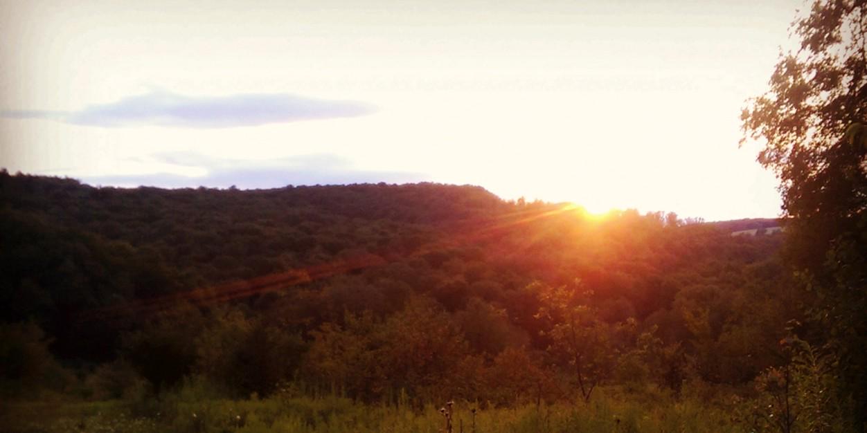 sdphill92's profile banner image