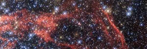 comprandobanano Profile Banner