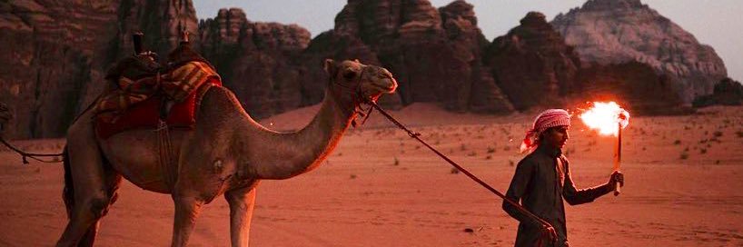 أنس الخالدي banner