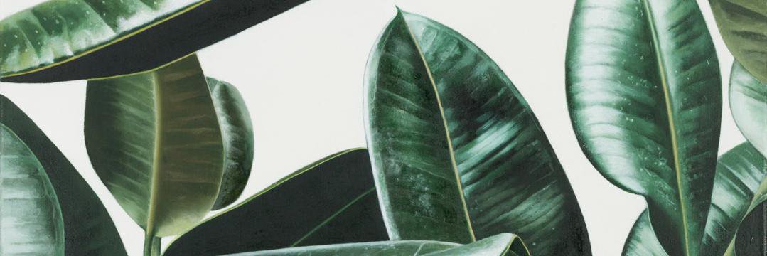 hippybowie's profile banner image