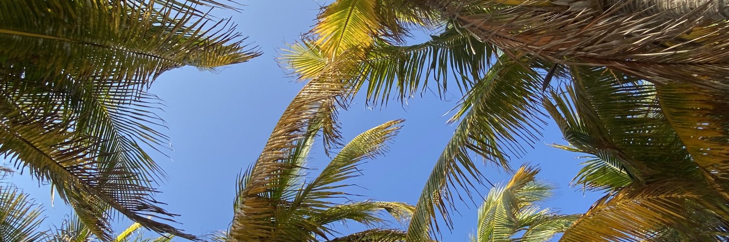 María Septién banner