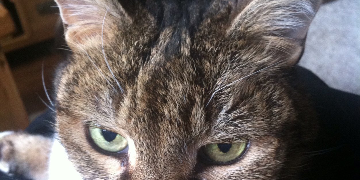 kennethking8's profile banner image