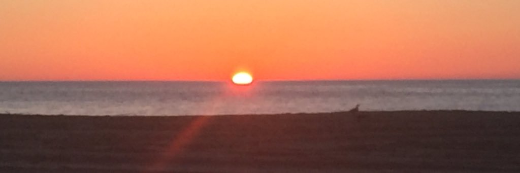 taefromthe8's profile banner image