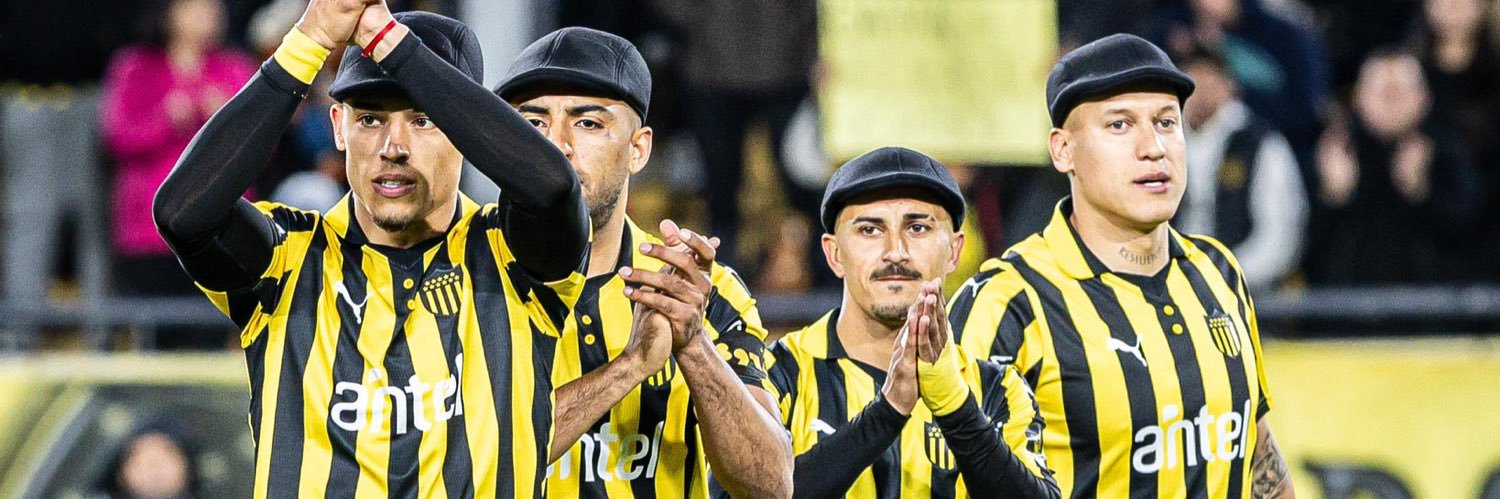 f u r c i n c o banner