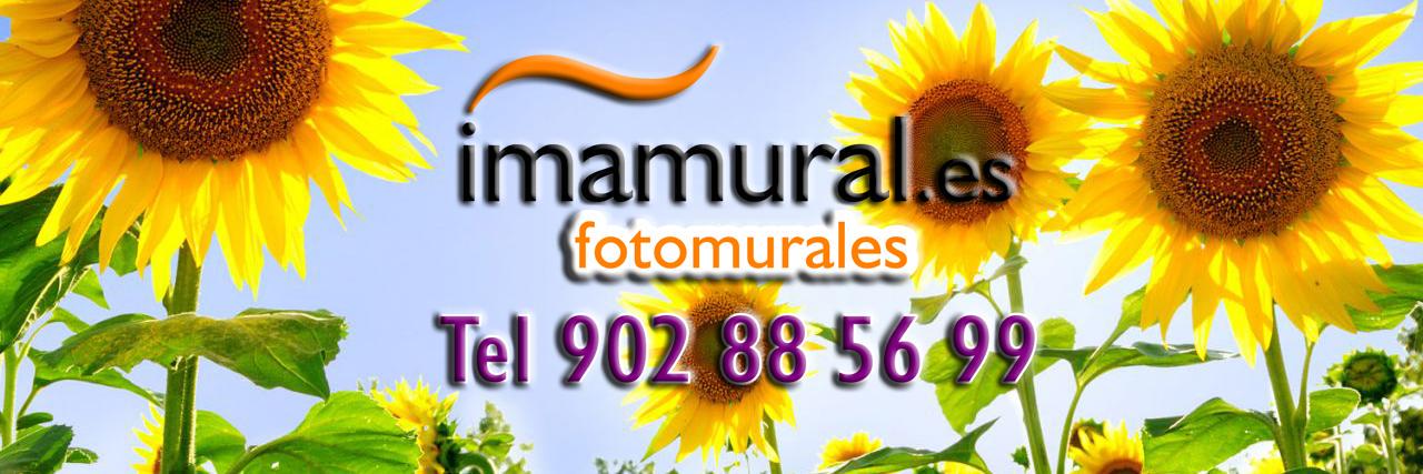 imamural's profile banner image