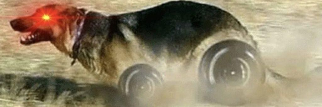 Yusiko banner