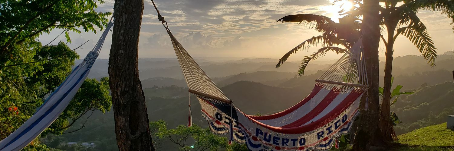 briverabox01's profile banner image