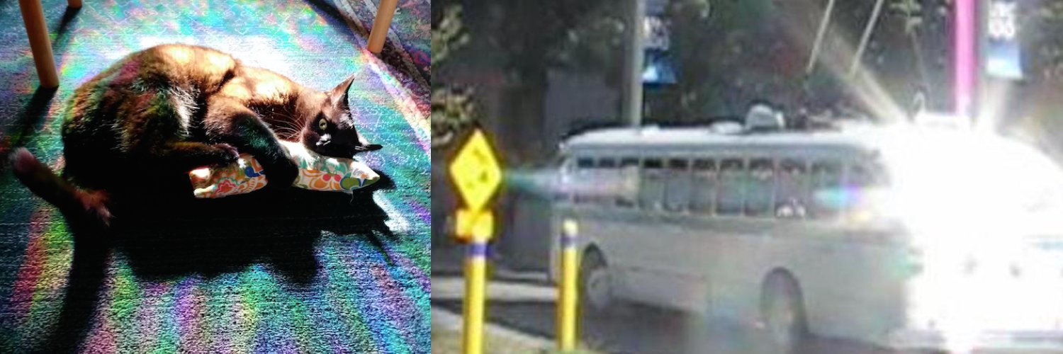 etrolleybus's profile banner image