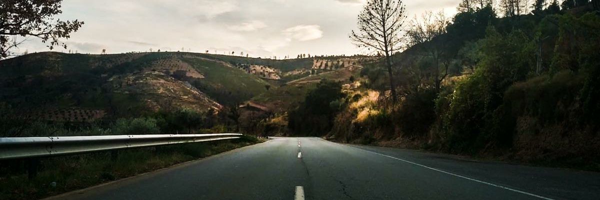 morenodaxa's profile banner image