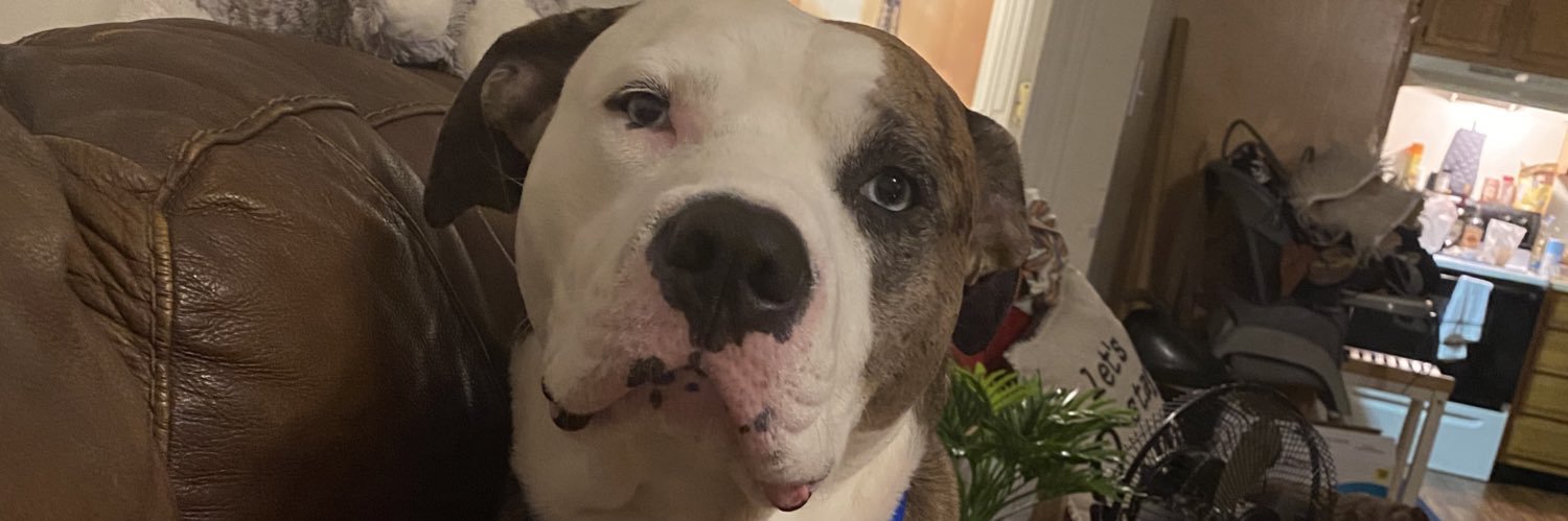 Lexie_Rae17's profile banner image