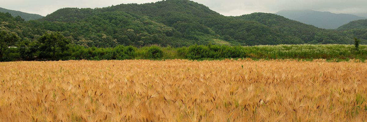 sms8833's profile banner image