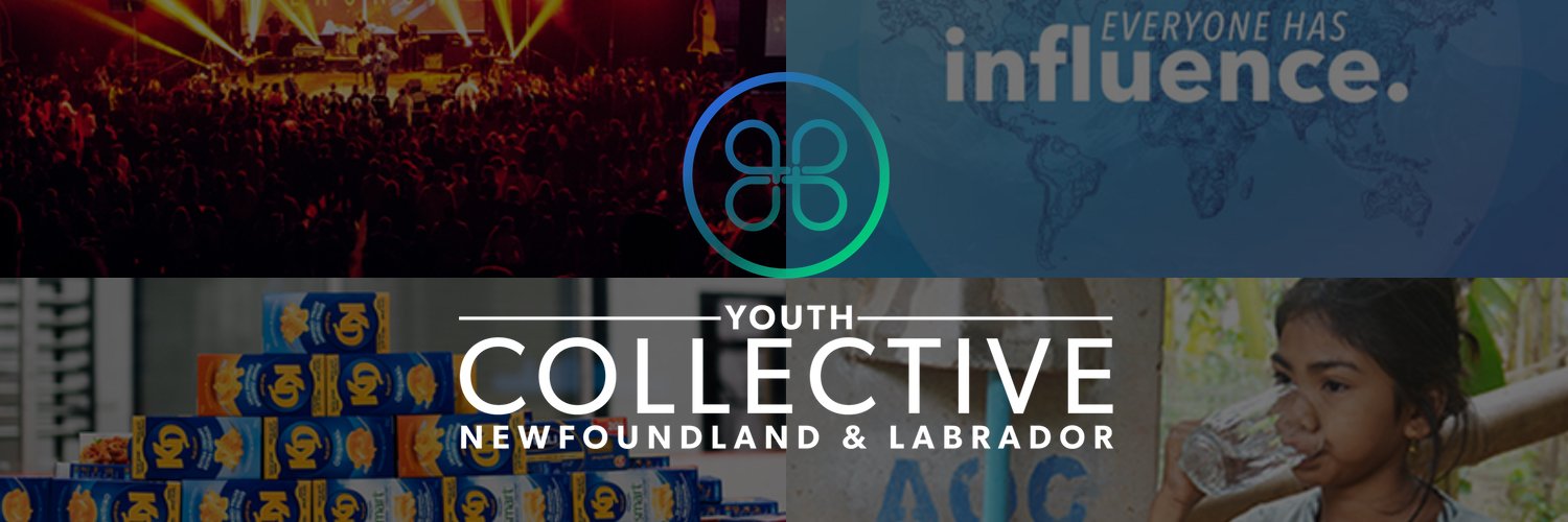 ycnewfoundland's profile banner image