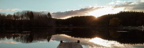 mimmol3 Profile Banner