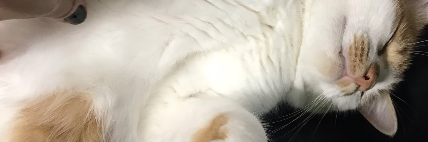 qwerty_misp's profile banner image
