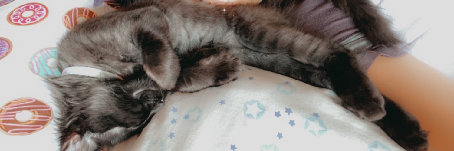 YumiMusubi's profile banner image