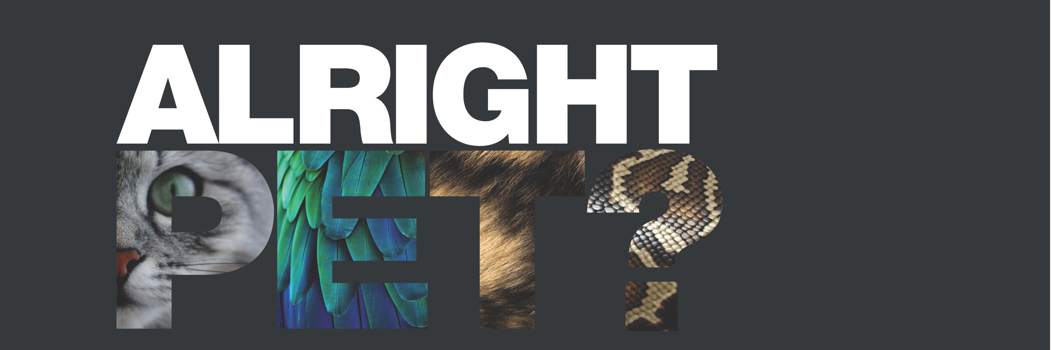 youalrightpet's profile banner image