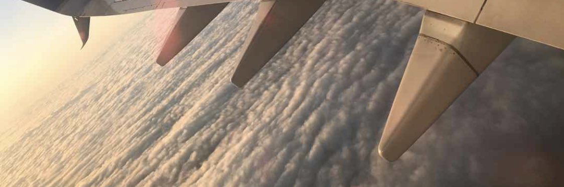 quelomf's profile banner image