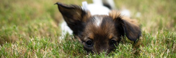 remobware Profile Banner