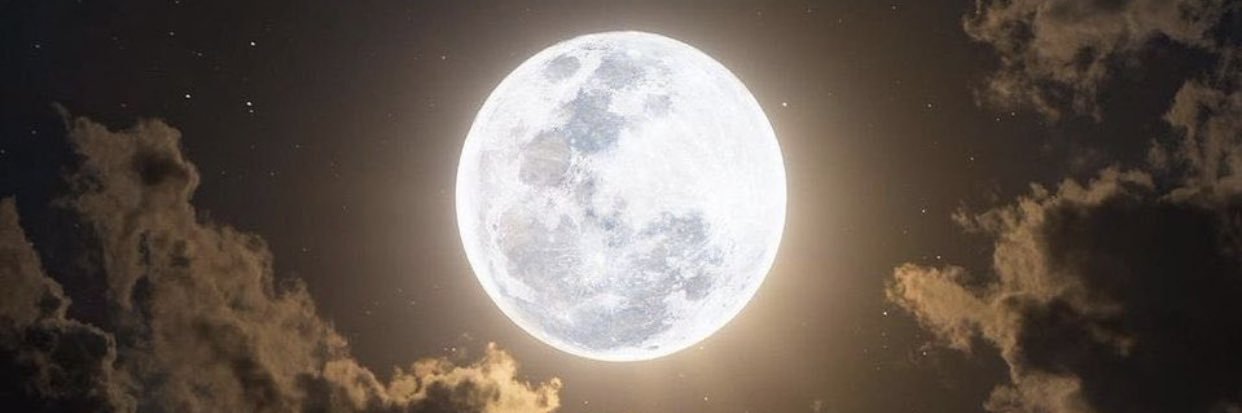 kepler_442bx's profile banner image