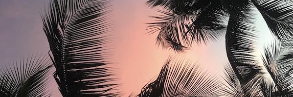 ThomasCrawford_'s profile banner image
