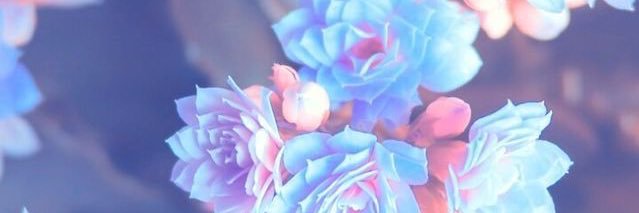 kiley_hh2019's profile banner image