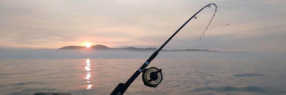 WestCoast Tackle Box banner