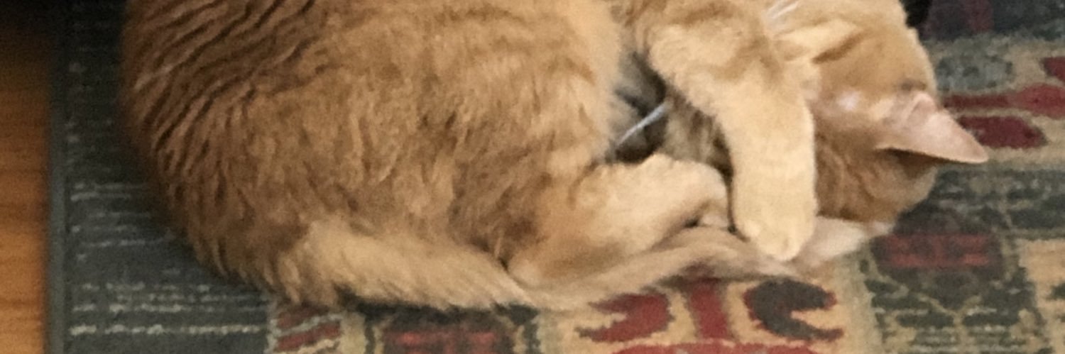 bcaldwell1976's profile banner image