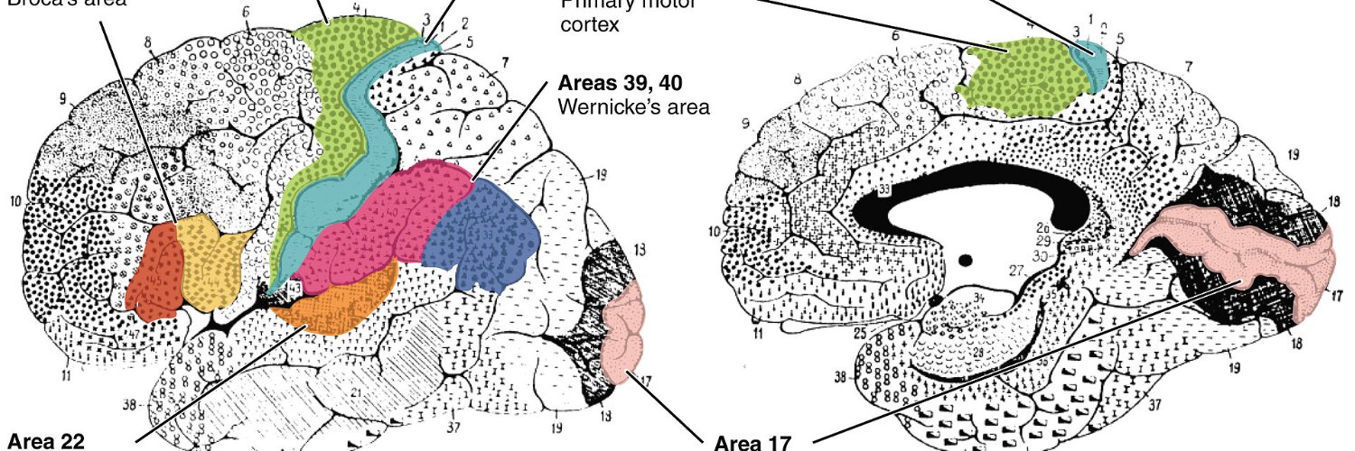 Troy Schmanke, Ph.D. banner