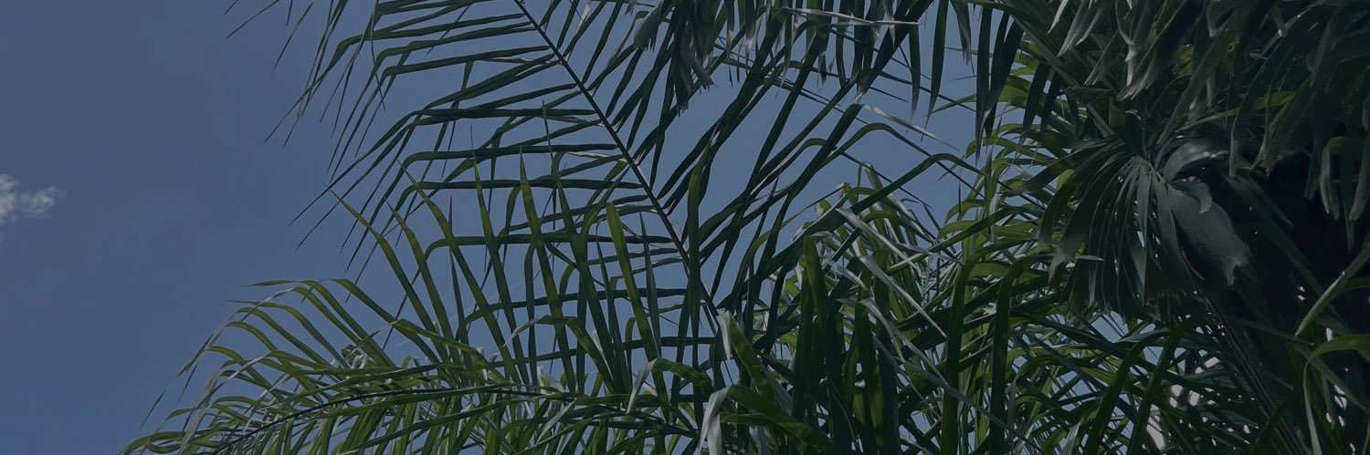 NatProdigy_'s profile banner image