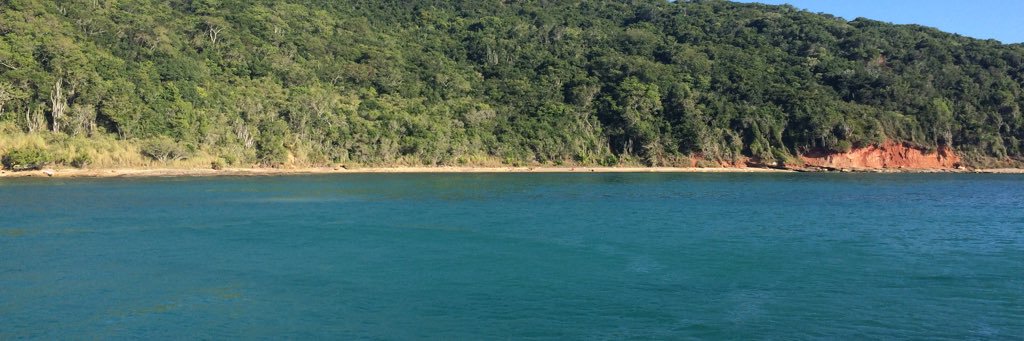 Patulekis! ☮ banner