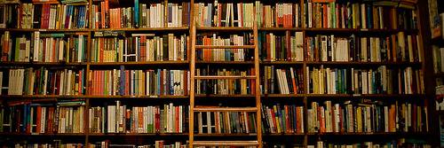 MsimLivro's profile banner image