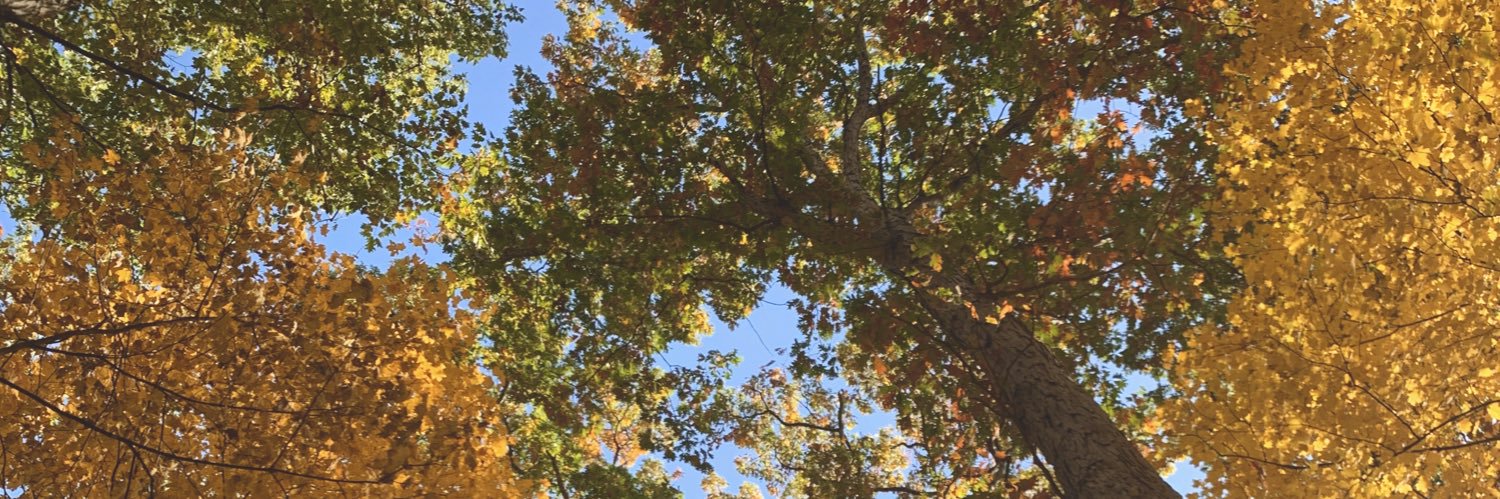 haley877's profile banner image