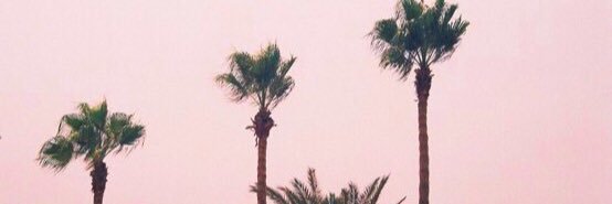 thebookofelyy's profile banner image