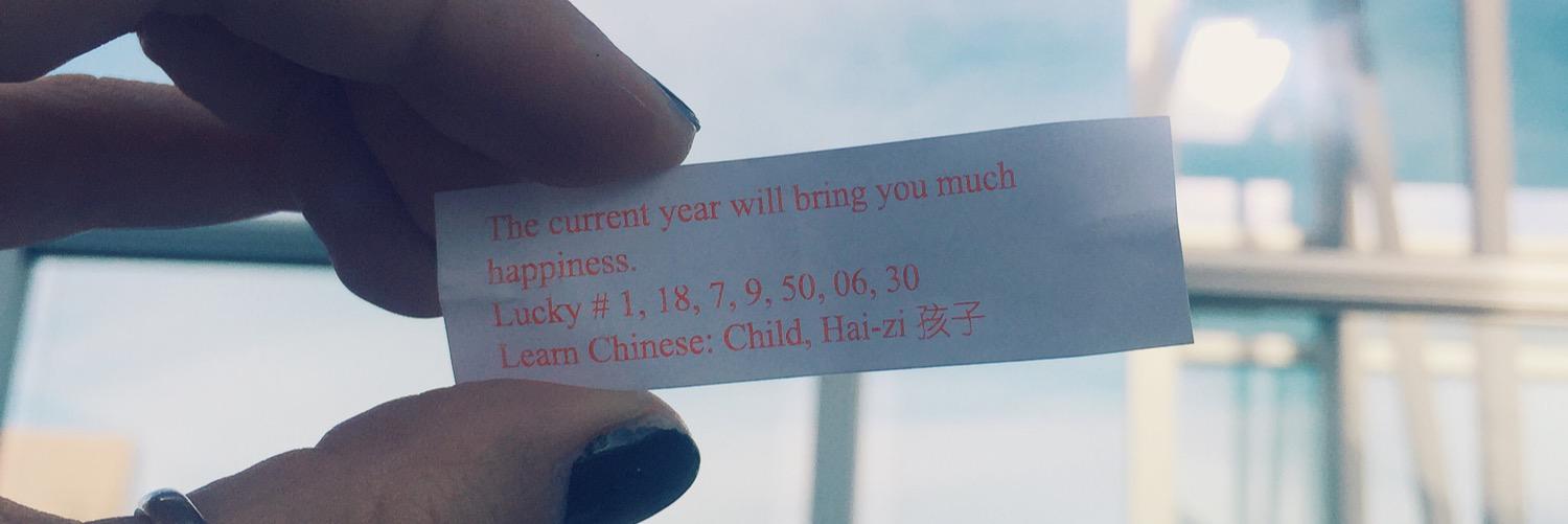 Sanja Komljenovic banner