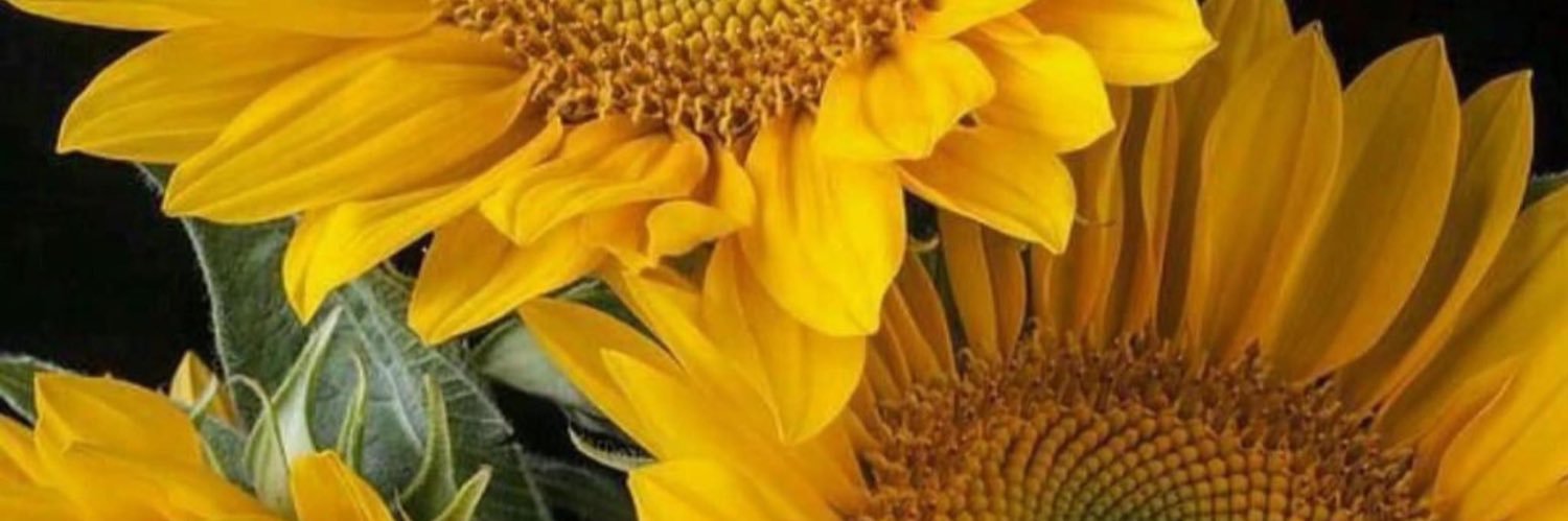 HandWorksOT's profile banner image