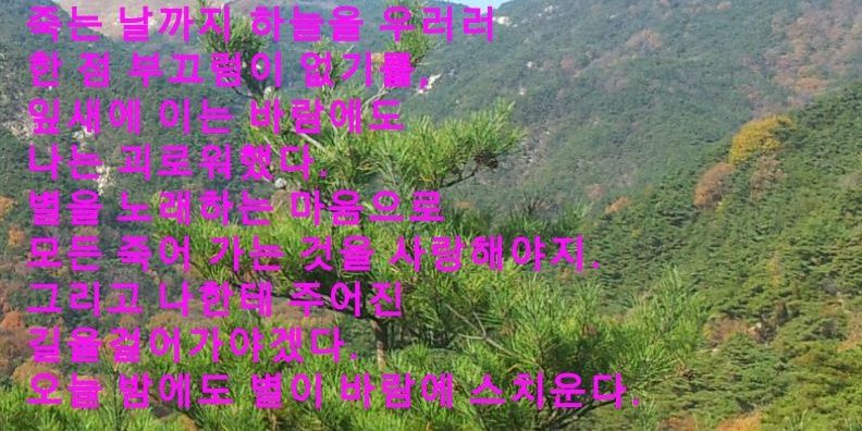 淸 藍 (대한민국 을 자랑스럽게) banner