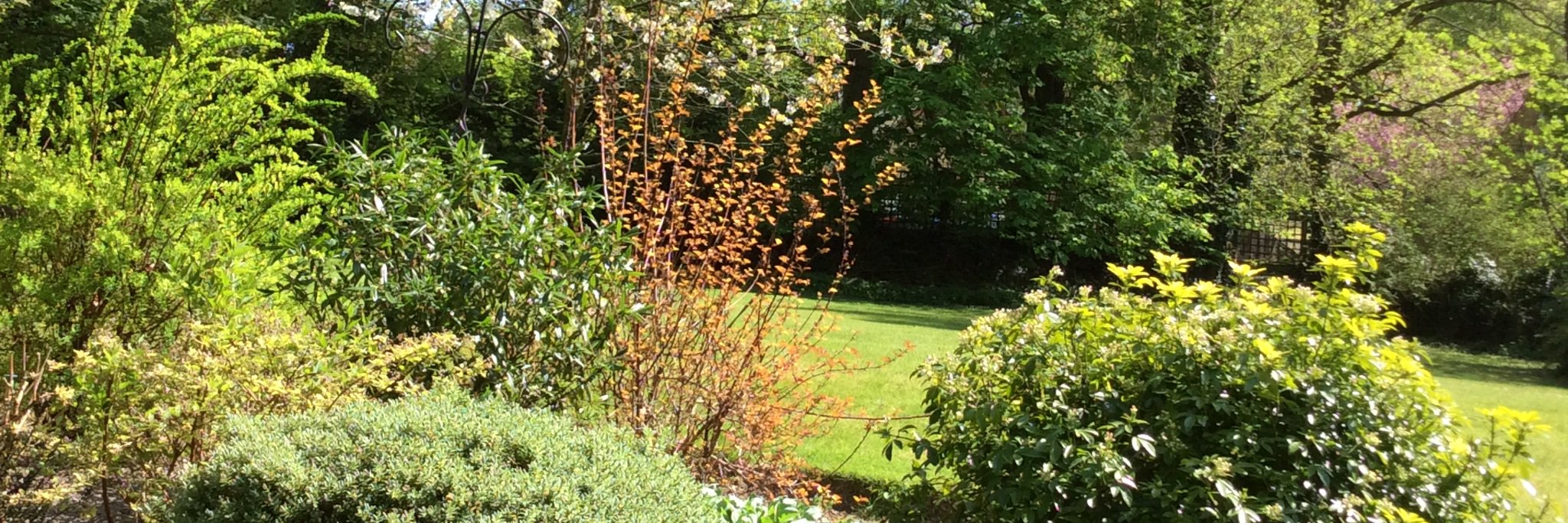 Florence Brain banner