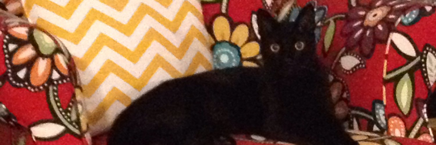 Stacey_Dickey's profile banner image