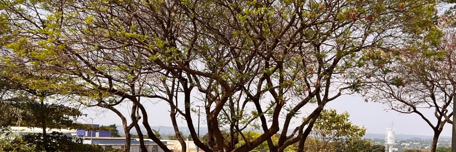 cfredr69's profile banner image