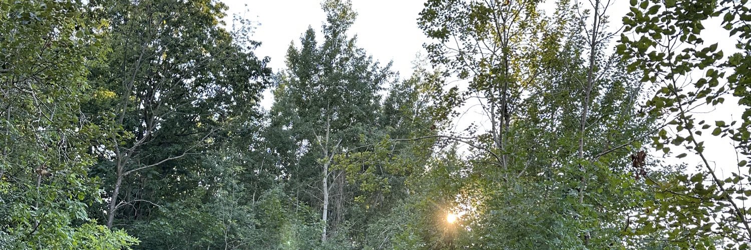 Aloeslo's profile banner image