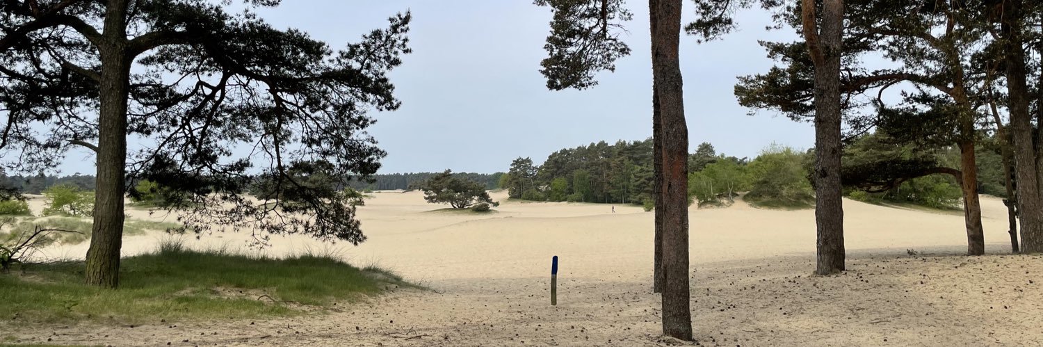 Noel Walling 🆓 banner