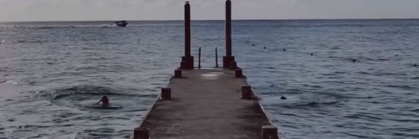 fridabl_26's profile banner image